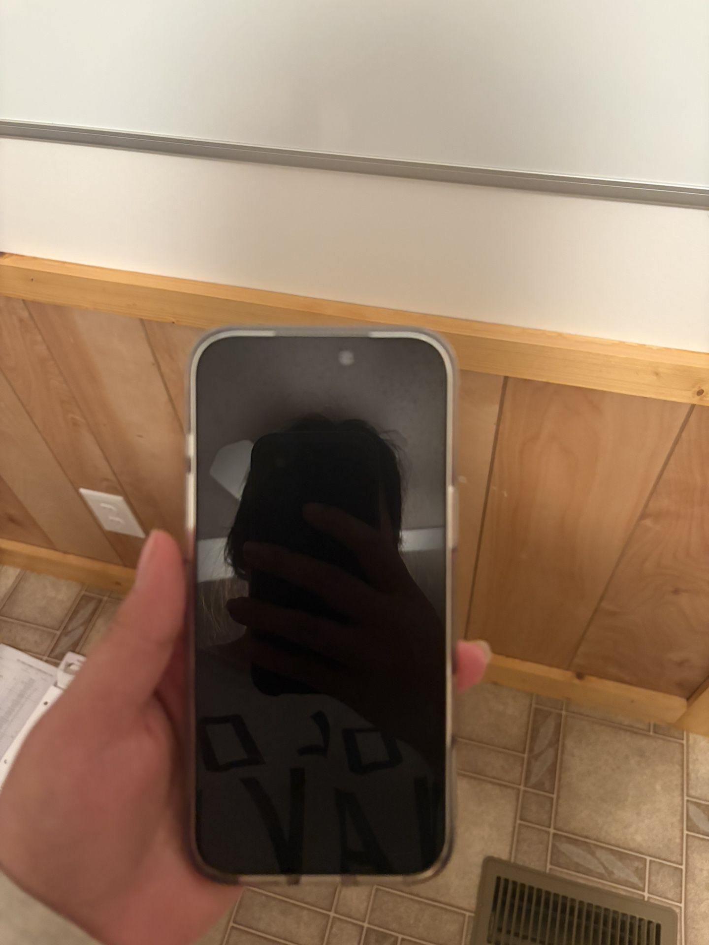 Unlocked Silver IPhone 17 Pro Max 256GB