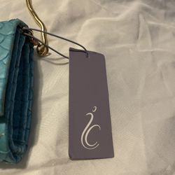 Inge Christopher NWT Blue Retired Clutch Handbag