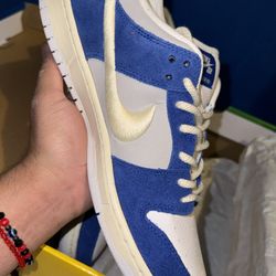Nike Sb Dunk Low Pro