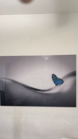 Large Modern Butterfly Wall Art