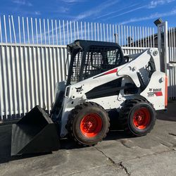 Bobcat