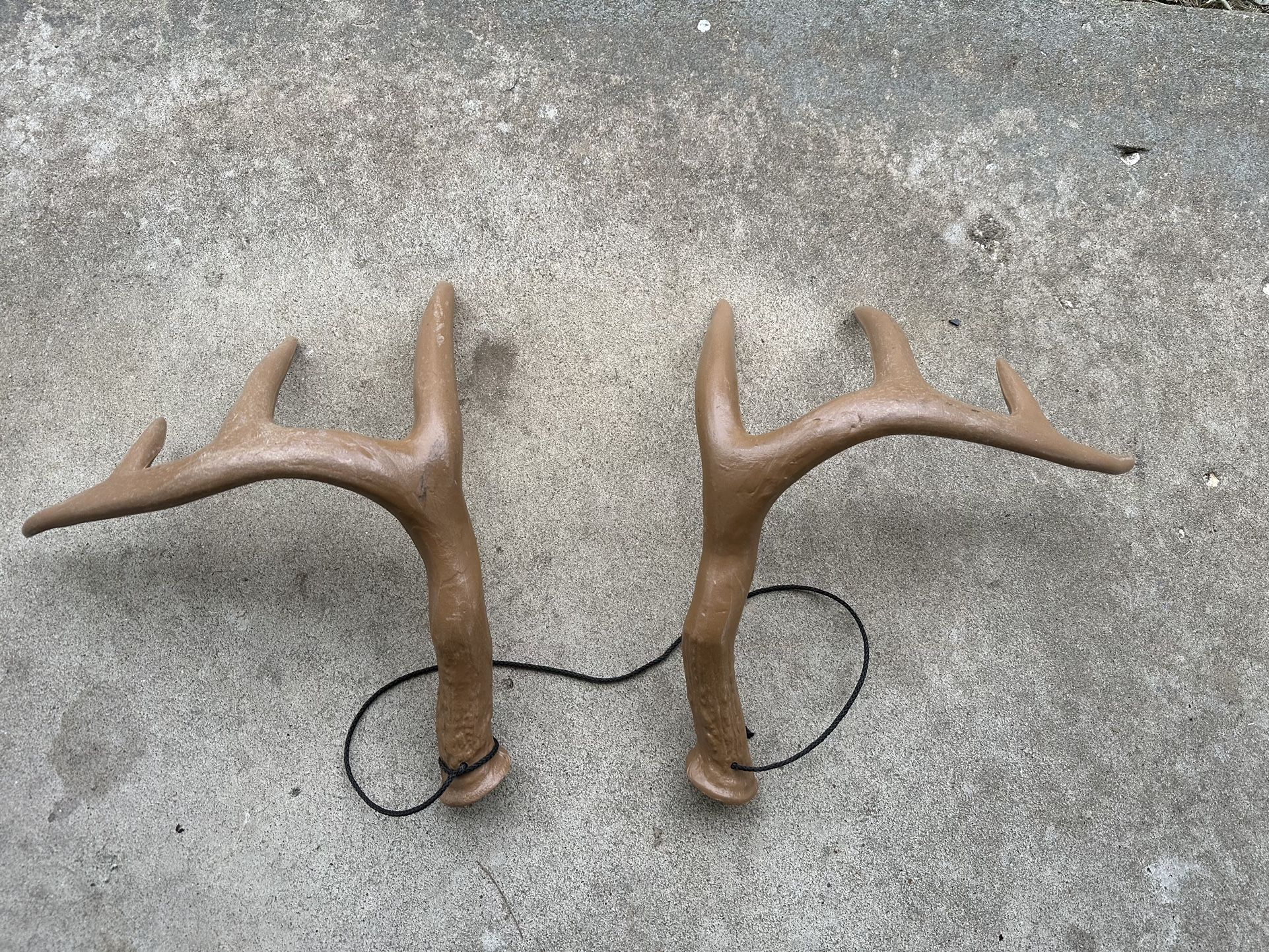 8 Point Rattling Horns or Antlers for Deer Calling