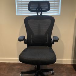 Ergonomic Office Chair M903, Computer Desk Chair with Wheels, High Back Mesh Office Chair with Adjustable Lumbar Support, Headrest, Flip-Up Armrests