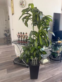 Pretty artificial plant 5 ft tall with planter