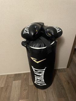 EVERLAST Punching Bag And Gloves