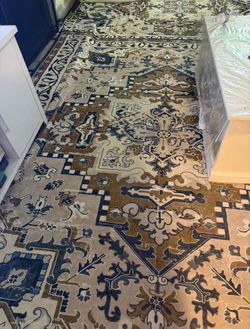 Big area rug (8/10)
