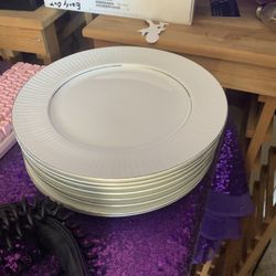 Glass Plates 