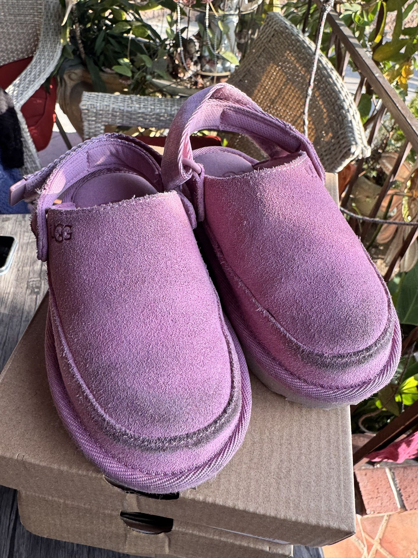 Toodler Uggs