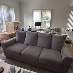 Light Gray Couch