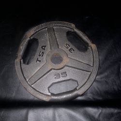 35lb Plate