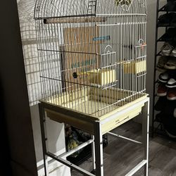 Bird Cage