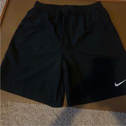 Nike Men’s Shorts