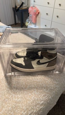 Shoe protector case