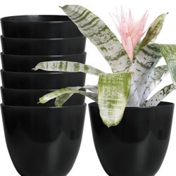 Black Plaint Pots 6.5 Inch’s
