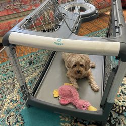 Diggs Revol Dog Crate
