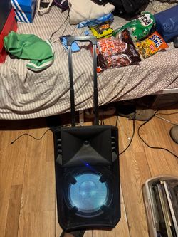 ION Speaker