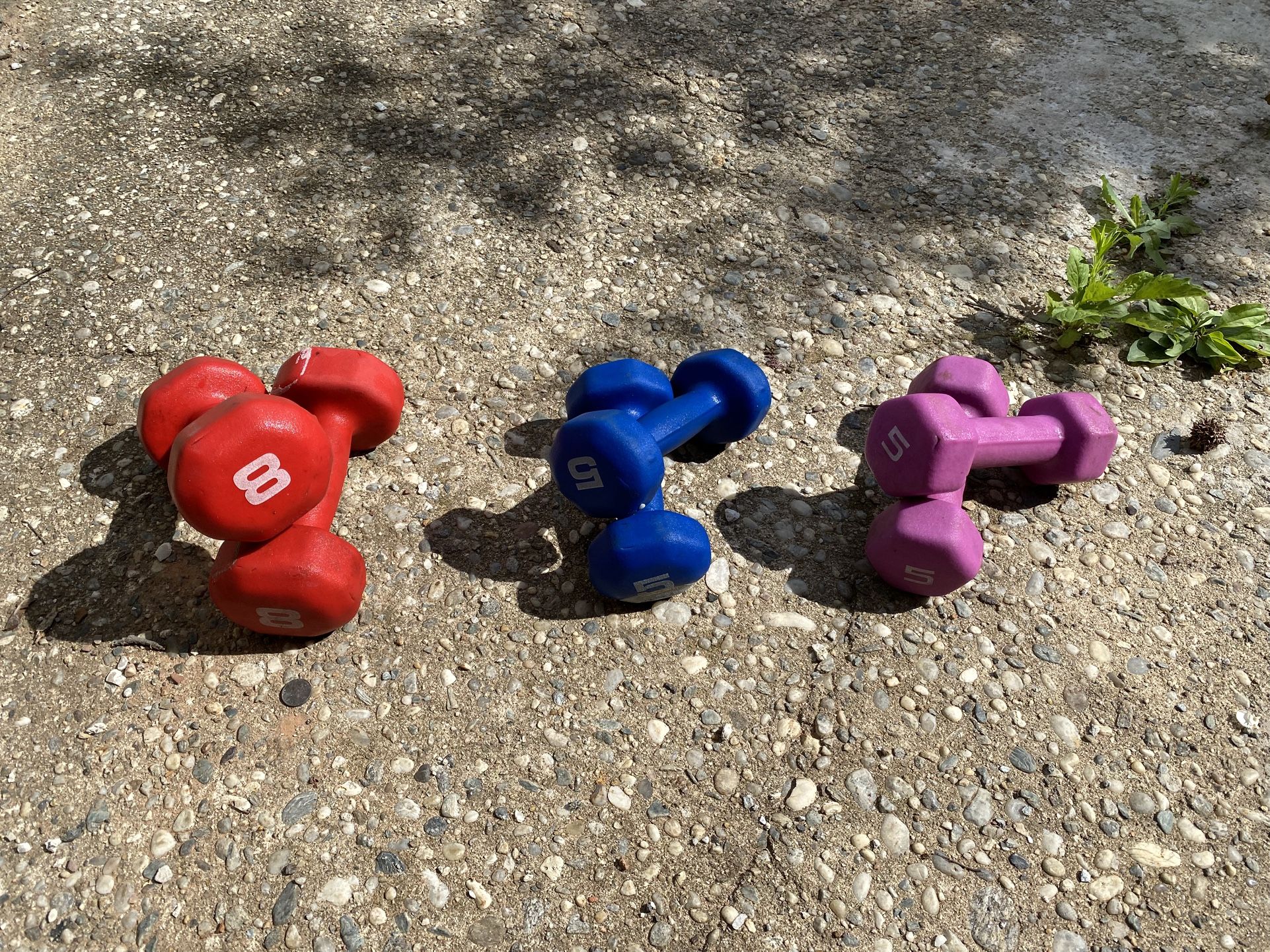 3 Sets Of Dumbbell- 8lb And 5lb