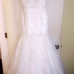 Mermaid wedding Gown With Train And Lace Detail