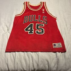 Michael Jordan Bulls Jersey 45 