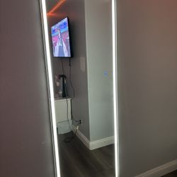 FULL BODY MIRROR NEW  