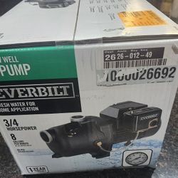 Evertbilt 3/4 Jet Pump