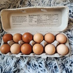 Eggs Organic 