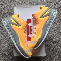 Nike LeBron 11 Low "Floridian"