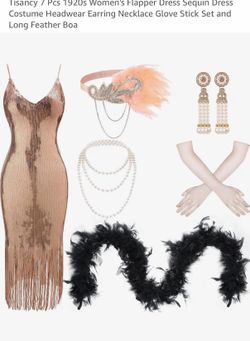 1920s Flapper Dress Costume Set
