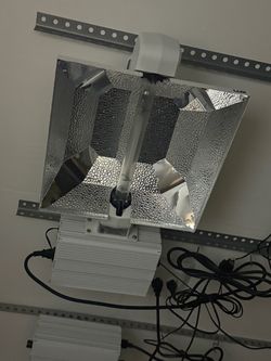 HPS lights