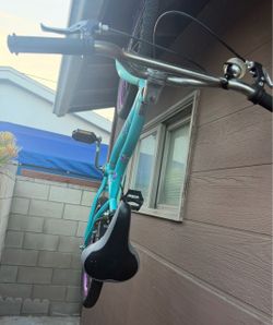 Bicycle 20”