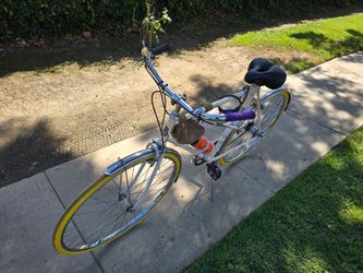Vintage Bicycle
