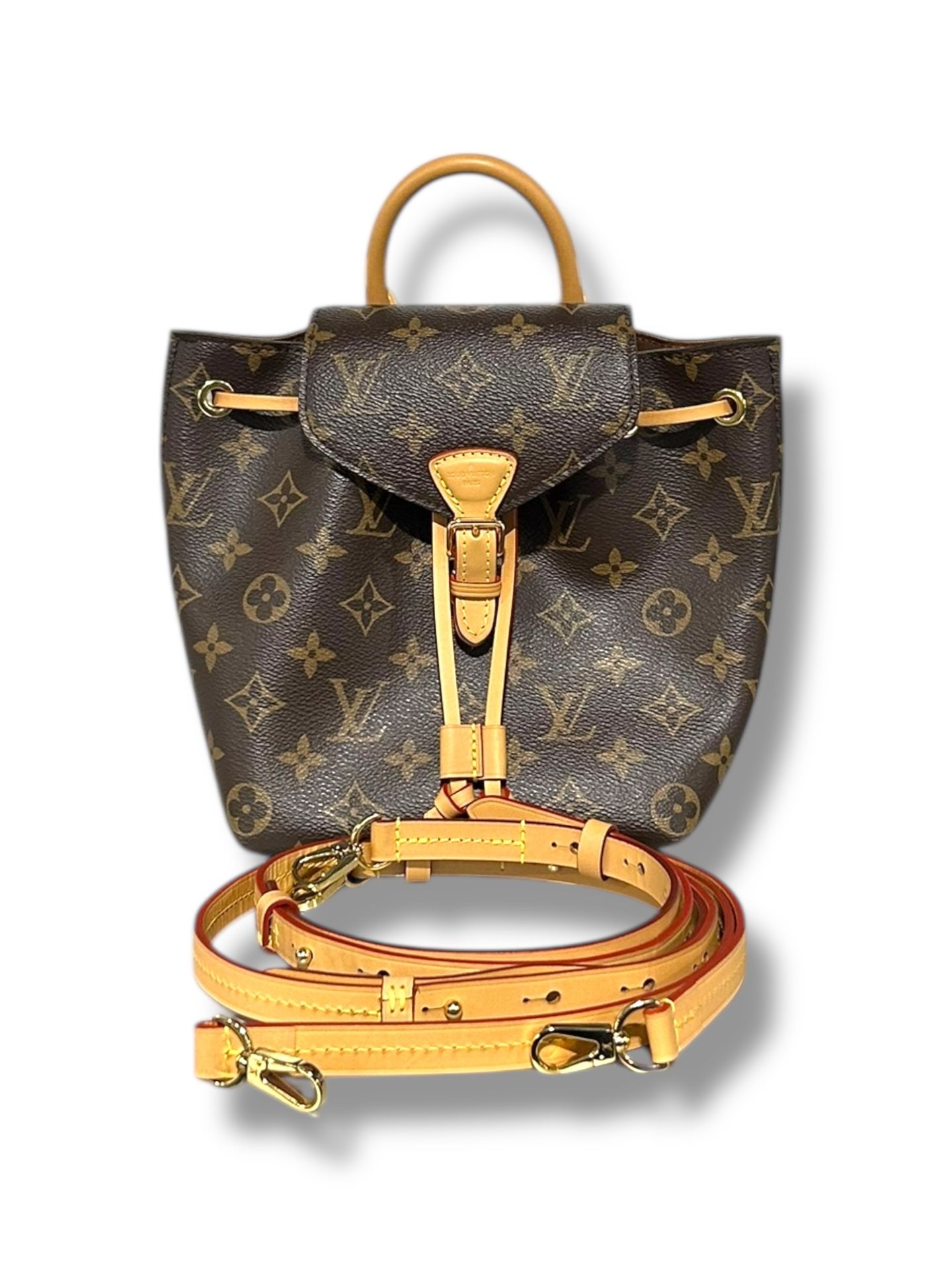 Louis Vuitton Monogram Bag