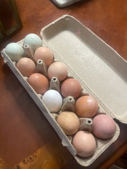 Fresh eggs