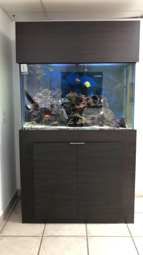 150 Gallons Aquarium for Sale in Fort Lauderdale, FL OfferUp