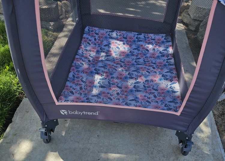 Puppy Play Area - $20