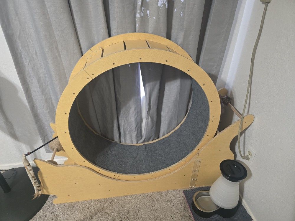 Cat Wheel