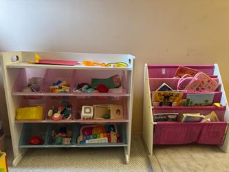 Toy Storage & Book Organizer