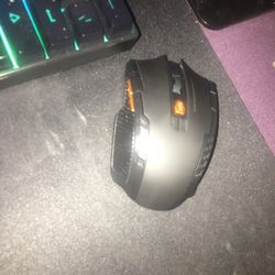 Mouse 