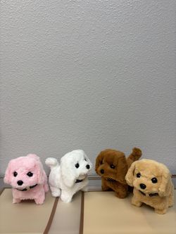 Toy Puppies