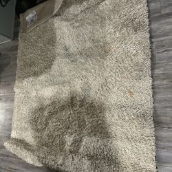 Ivory Rug 