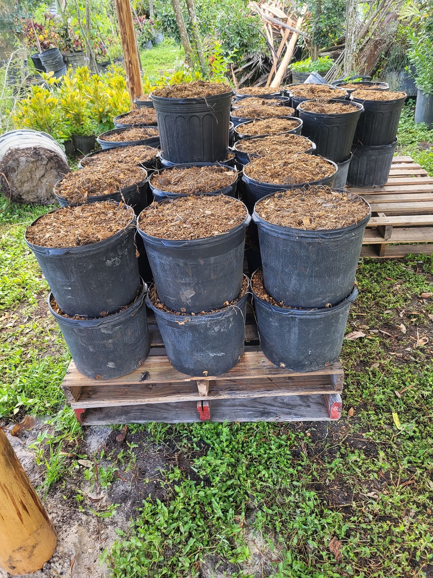 SUPERGROW Fertilizer Mulch 7g 