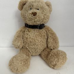 Plush Teddy Bear