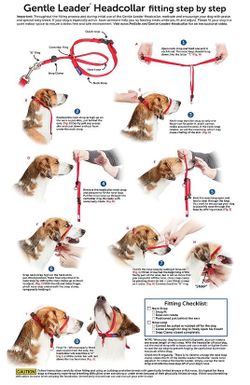 Dog Head Halter Size S In Black