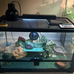 Front Opening Ten Gallon Reptile Tank