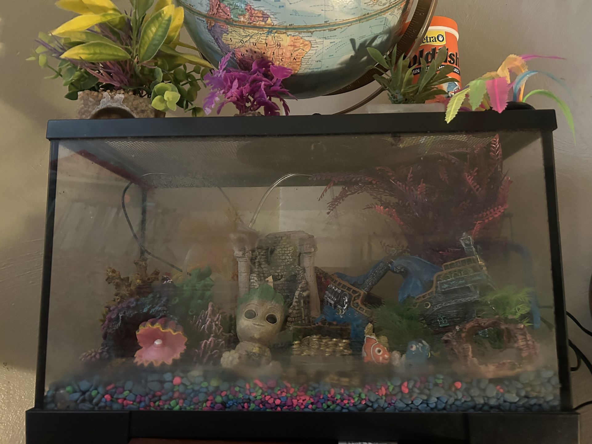 Fish Tank With Accessories