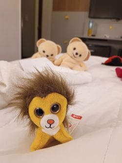 Teenie beanie babies