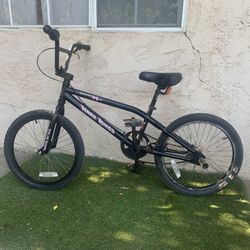 20 Inch Bike 
