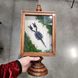 Real Giant Scorpion Shadow Box Entomology Ethically Sourced 