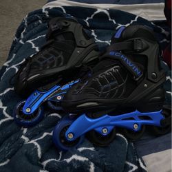 Roller Blades