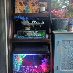 10 Gallon Fish Aquarium With Filter